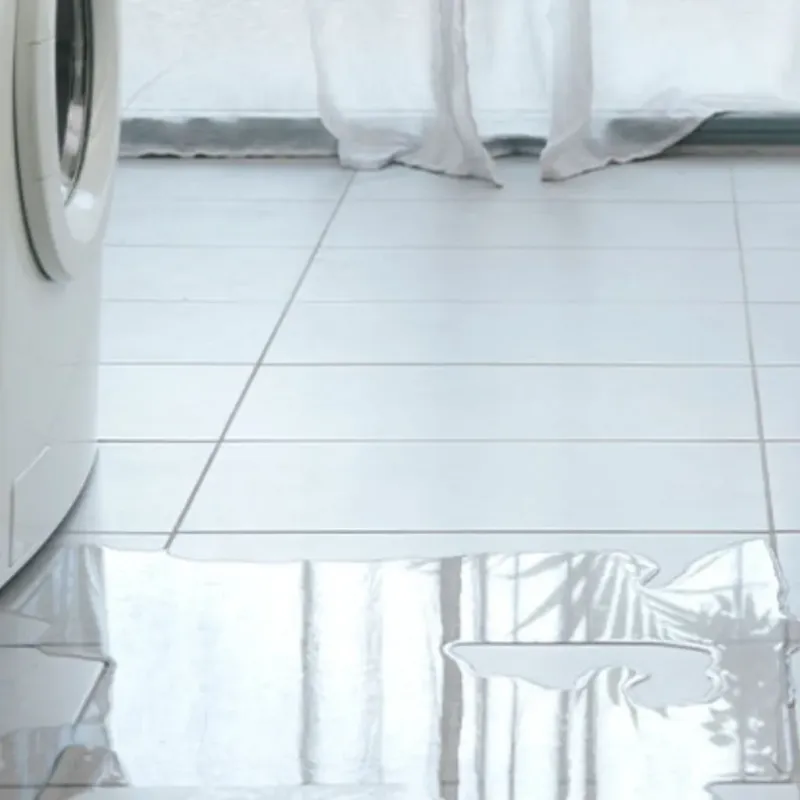 Appliance Leak Cleanup in Saint Paul, IN
