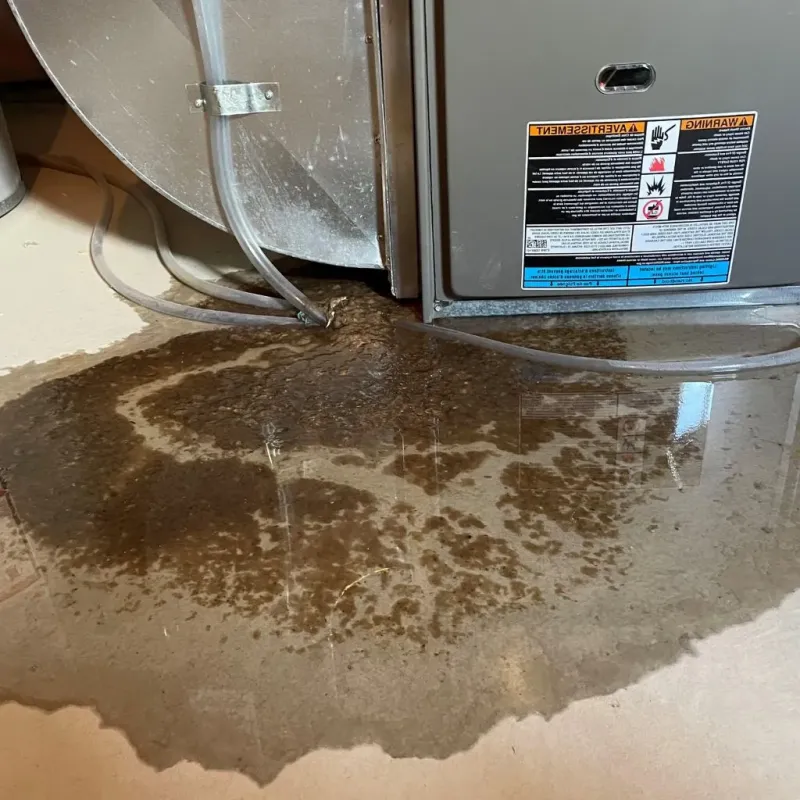 Pipe Burst and Leak Restoration in Saint Paul, IN