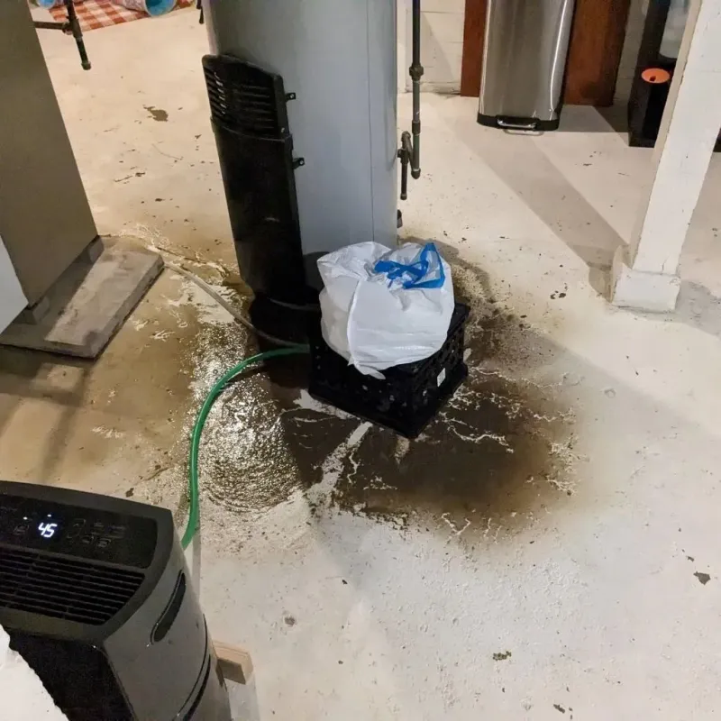 Sewage Backup Cleanup Service in Saint Paul, IN